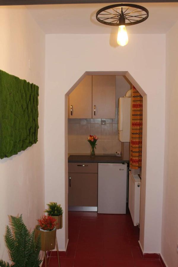 شقة Apartament Dania & Petru Tîrgu Ocna المظهر الخارجي الصورة